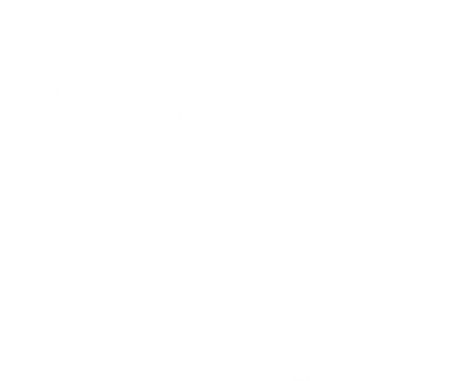 Sportkraft